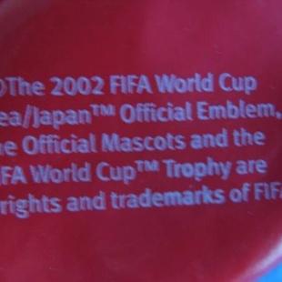 The 2002 FIFA World Cup